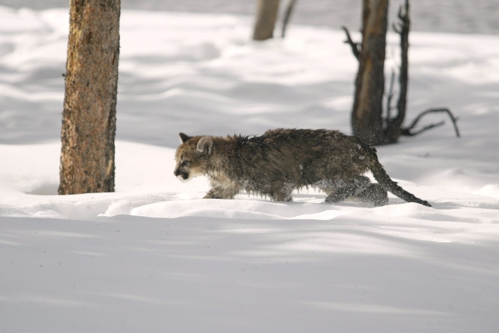 Photo: Jim Peaco, NPS. Public domain.