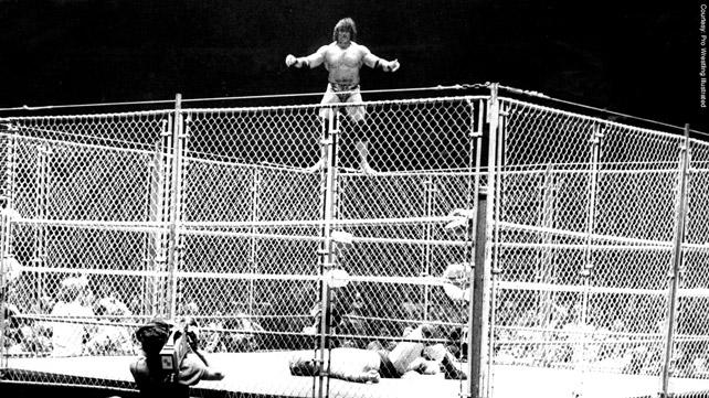 Steel-cage