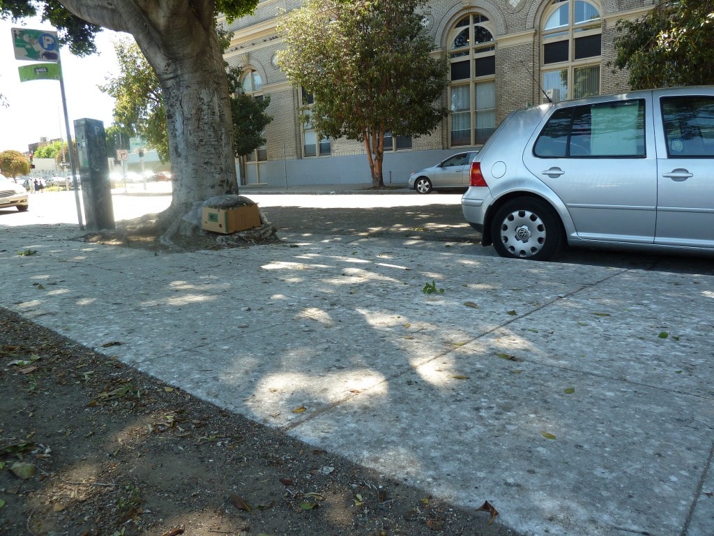 Sidewalk whitened with bird poop