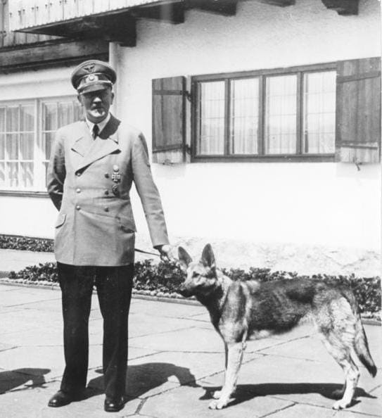 Hitler and his dog Blondi