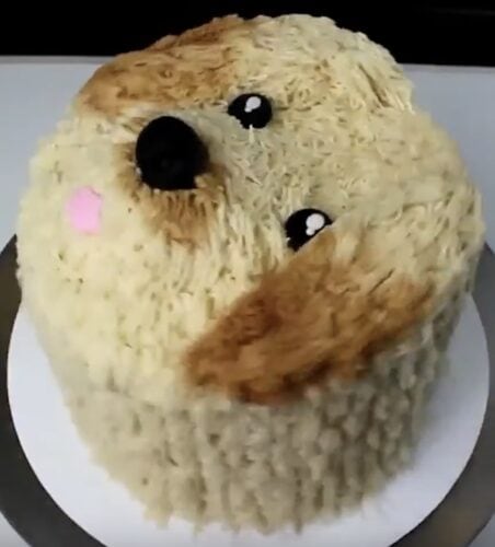 Cake decorated to look like the head of a shaggy dog or puppy.